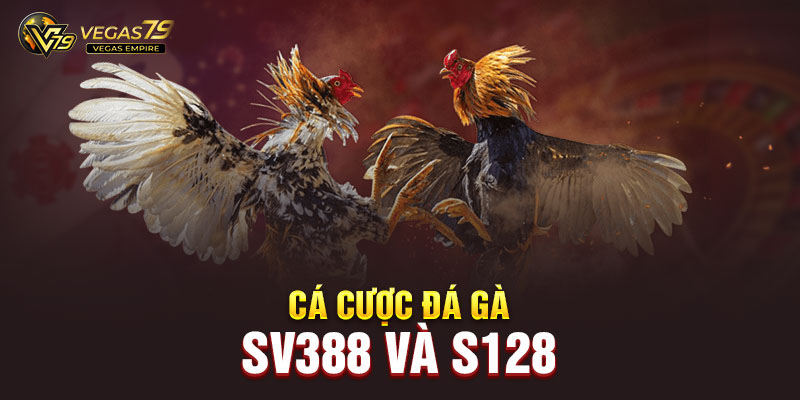 cá cược đá gà Vegas 79